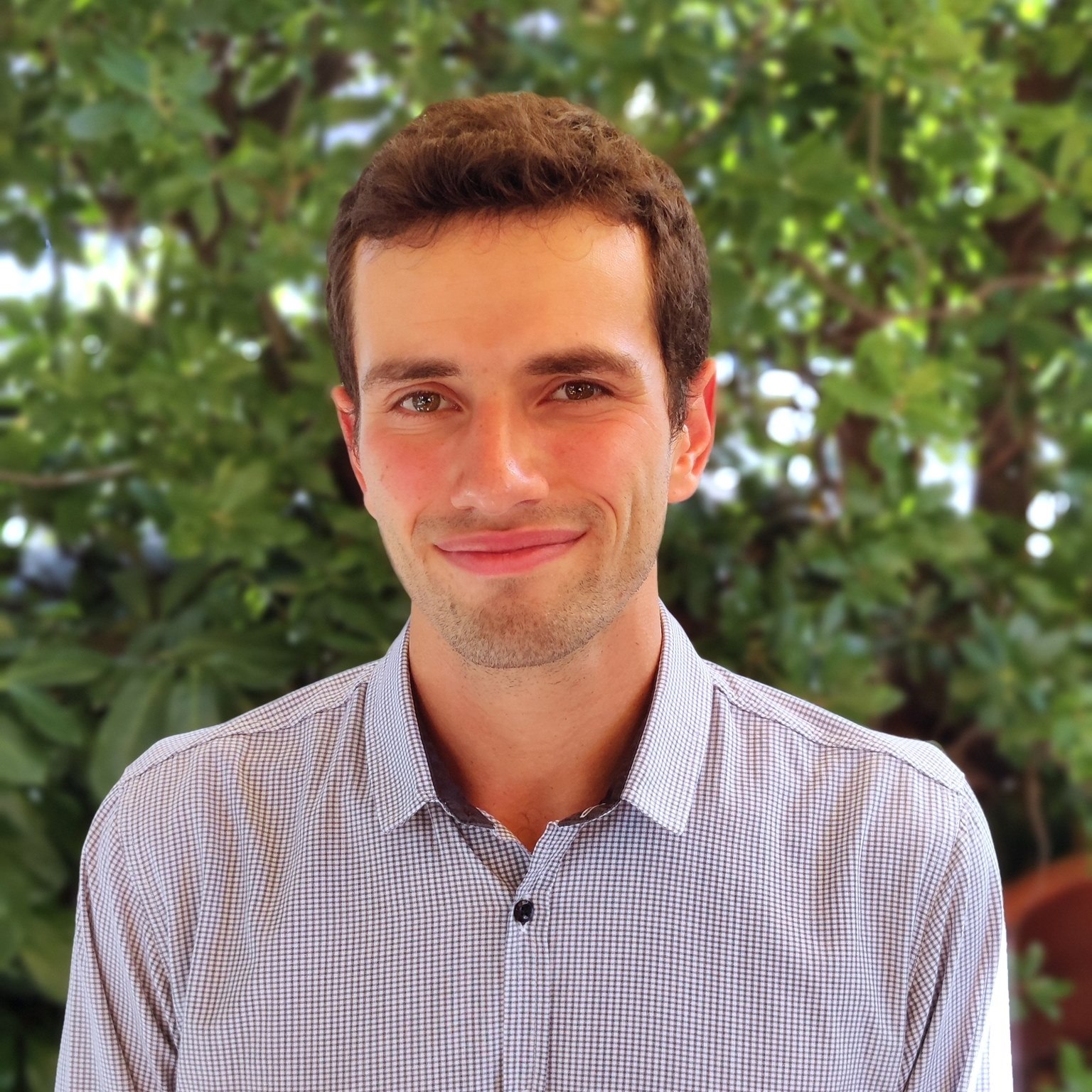 Image of Francesco Mattioli